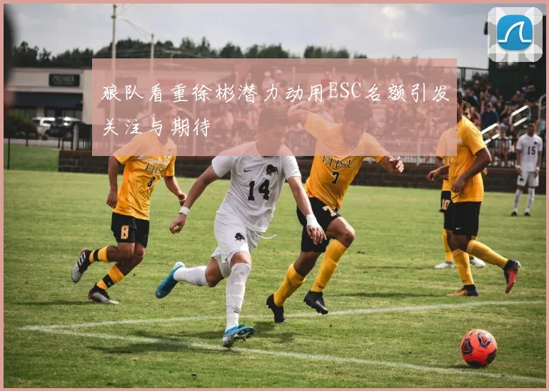 狼队看重徐彬潜力动用ESC名额引发关注与期待